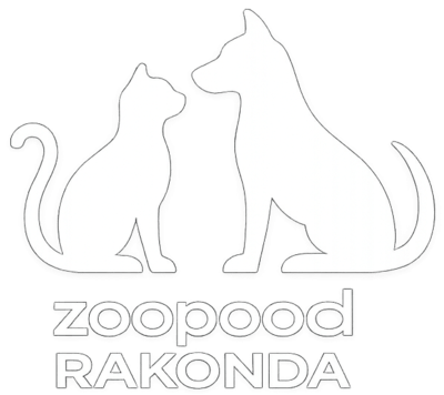 Internet-Zoopood