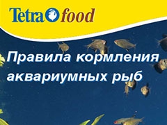 leaflet_tetrafood_rus.pdf