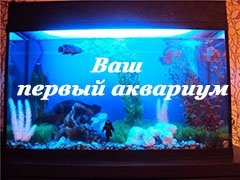 listovka-moj-pervij-akvarium.pdf