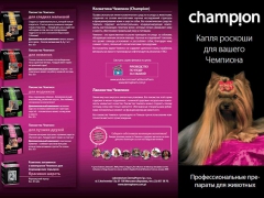 champion.pdf