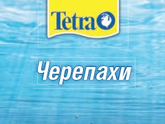tetra_cherepahi.pdf
