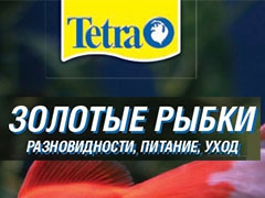 tetra_gold_fish2.pdf