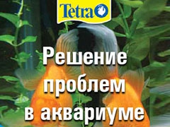 aquarium-problem-solver.pdf