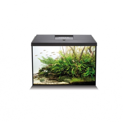 AquaEl Leddy Aquarium XL 40 DAY&NIGHT