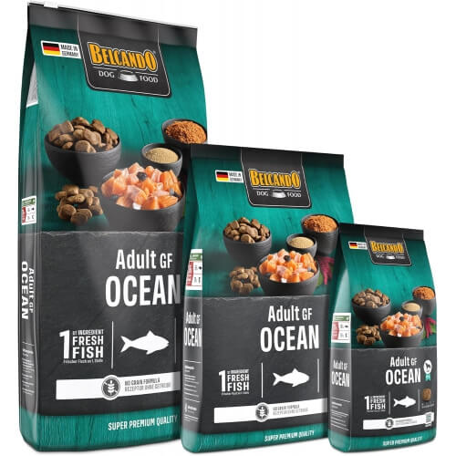 Belcando Adult Grain Free Oceanfish 12,5kg (lõhega)