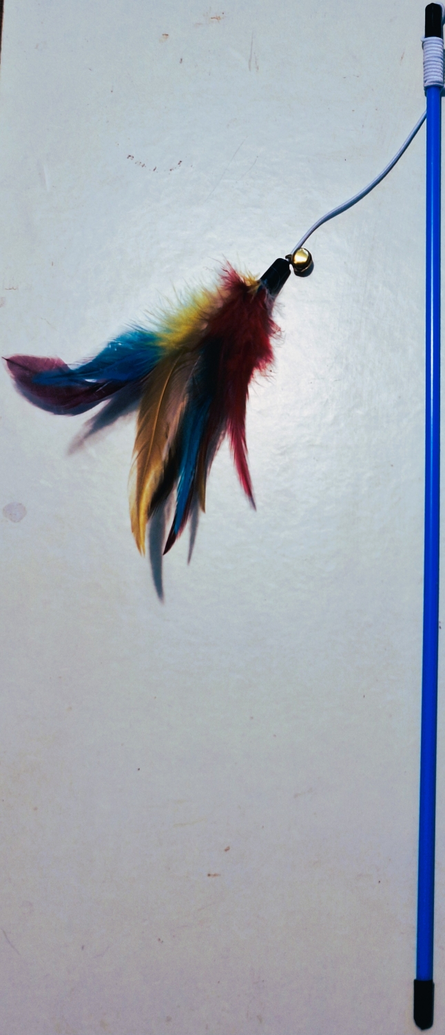 Bluestick feather and bell 50cm (005919)