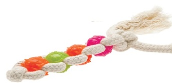 Dog Toy Dental Mint Toother 4 elements