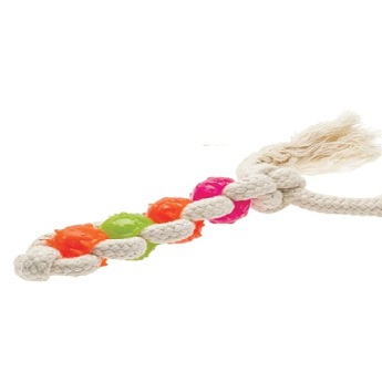 Dog Toy Dental Mint Toother 4 elements
