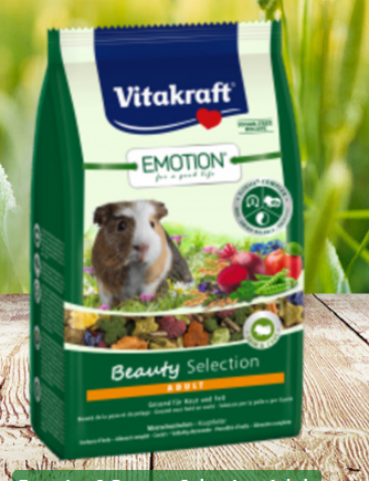 Beauty Selection adult selection Guinea Pig 600g