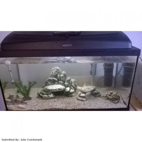 Aквариум прямоугольный Aqua 4 Home PAP 60