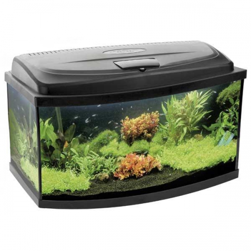 Akvaarium sphere Aqua 4 Home PAO 60
