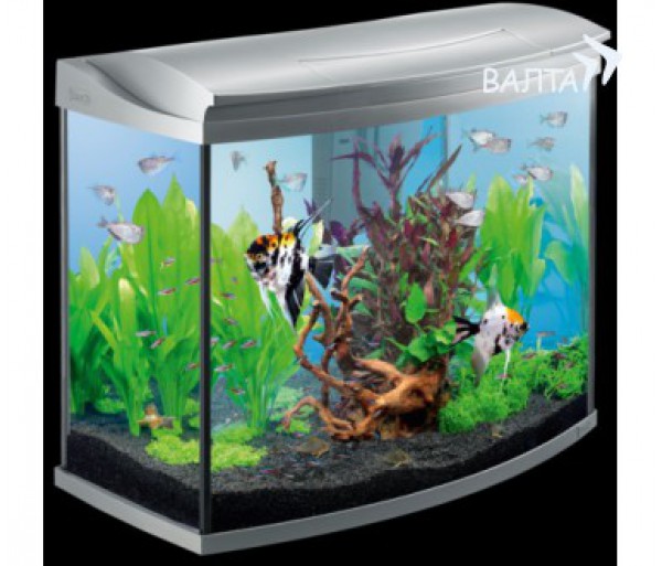 Tetra Aqua Art Aquarium LED 130l