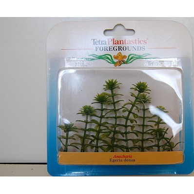 Plastmassist dekoratiivtaimed 10cm