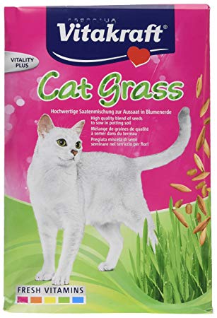 Cat Grass 50g
