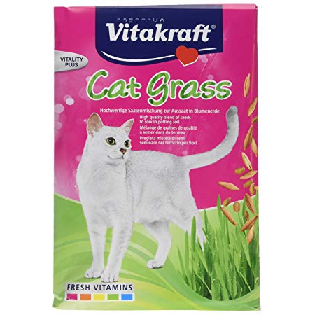 Cat Grass 50g