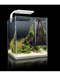 Aquael Shrimp Set 30l White (day and night LED)