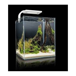 Aquael Shrimp Set 30l White (day and night LED)